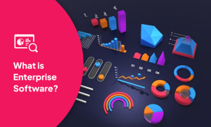 What Is Enterprise Software - An In-Depth Guide