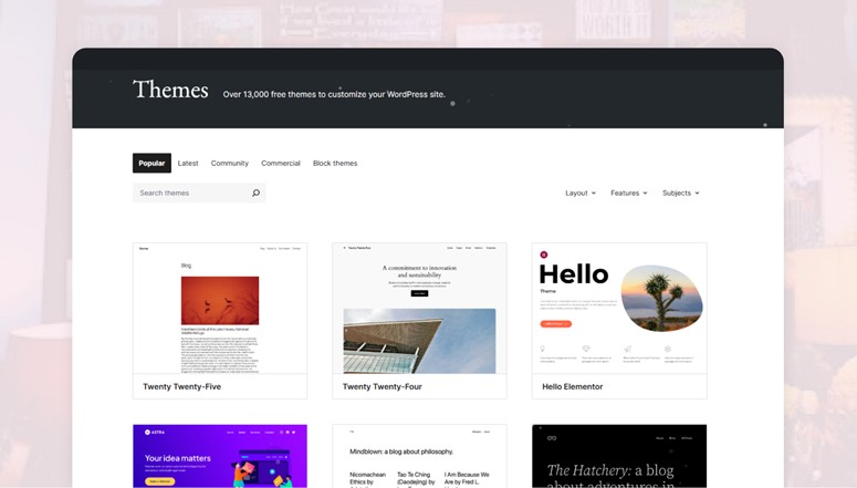 choosing a theme for wordpress
